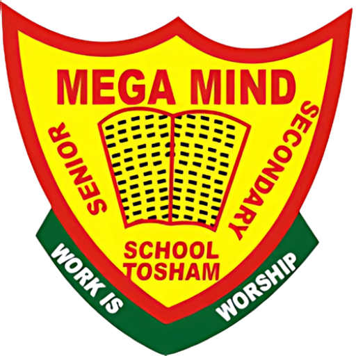 Mega Mind School
